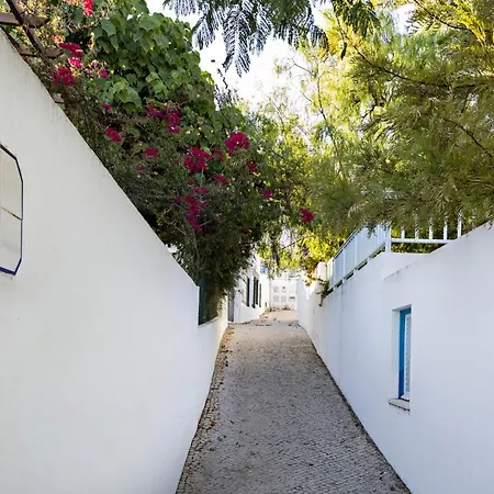 度假居 Conchas Da Fabrica 维拉诺瓦德卡塞拉