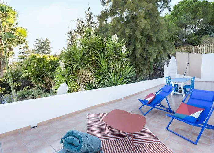 Conchas Da Fabrica *